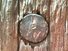 Macro Lens (4x or 8x)
