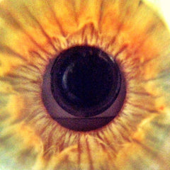 15x Micro Phone Lens