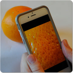 Macro Lens (4x or 8x)