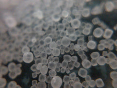 15x Micro Phone Lens